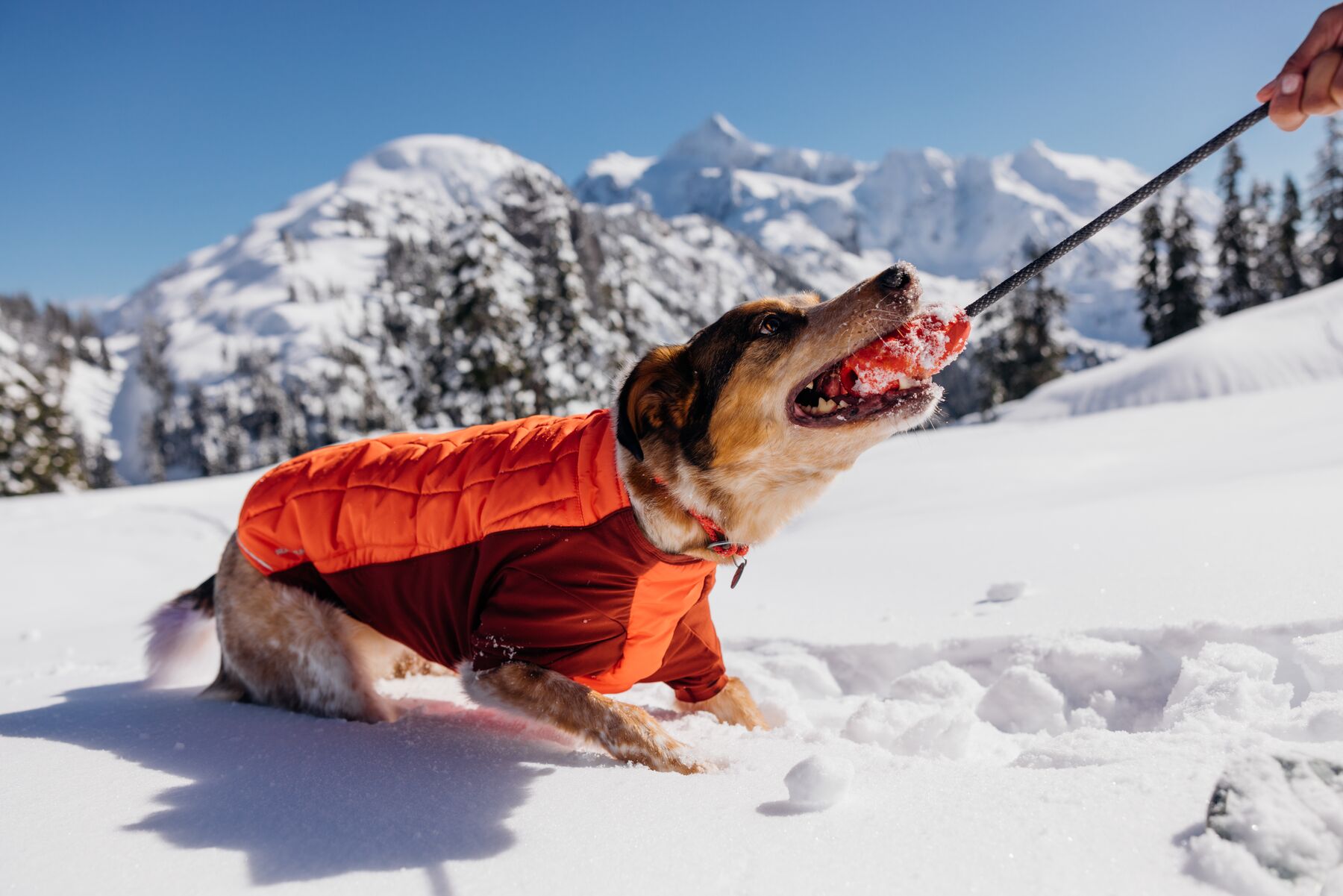 Veste d'hiver powder hound™ avec isolation hybride pour froid extreme. Couleur: campfire orange (orange), taille: xs
