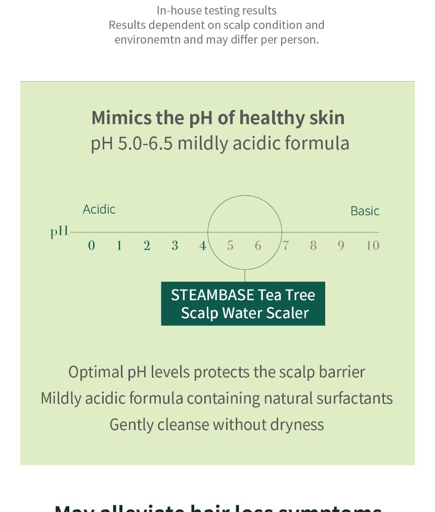 STEAMBASE - Tea Tree Scalp Water Scaler