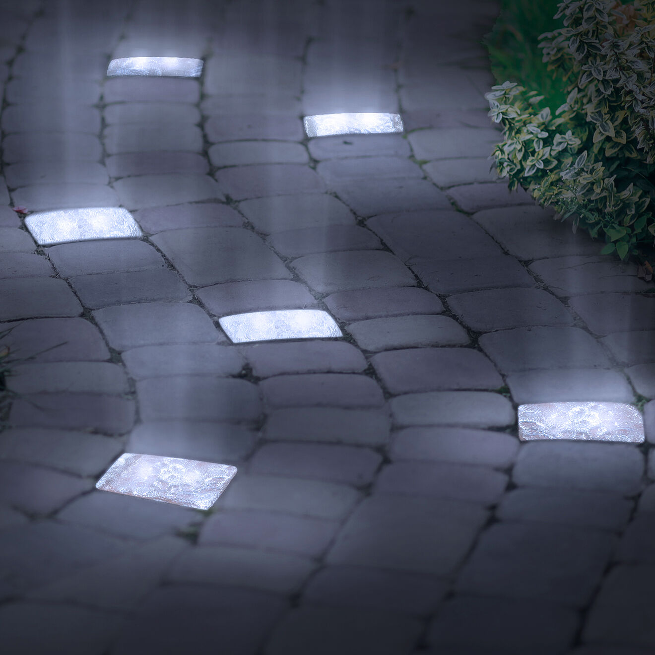 Pratik Garden 8 Pavés solaires LED transparents - 10x10x5 cm