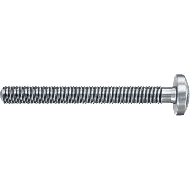 Fischer DuoHM S PH TX hollewandplugpgen 4x55mm TX20