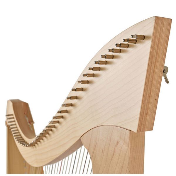 Salvi Titan Lever Harp 38 Str. NA
