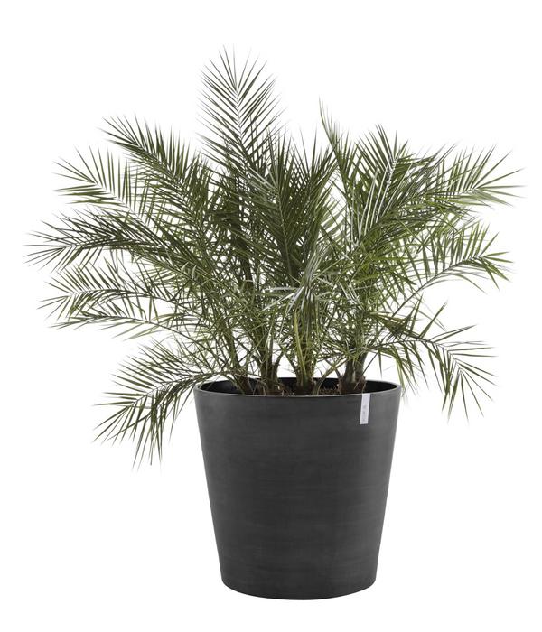 Ecopots Kunststoff-Topf Amsterdam mit Rollen,