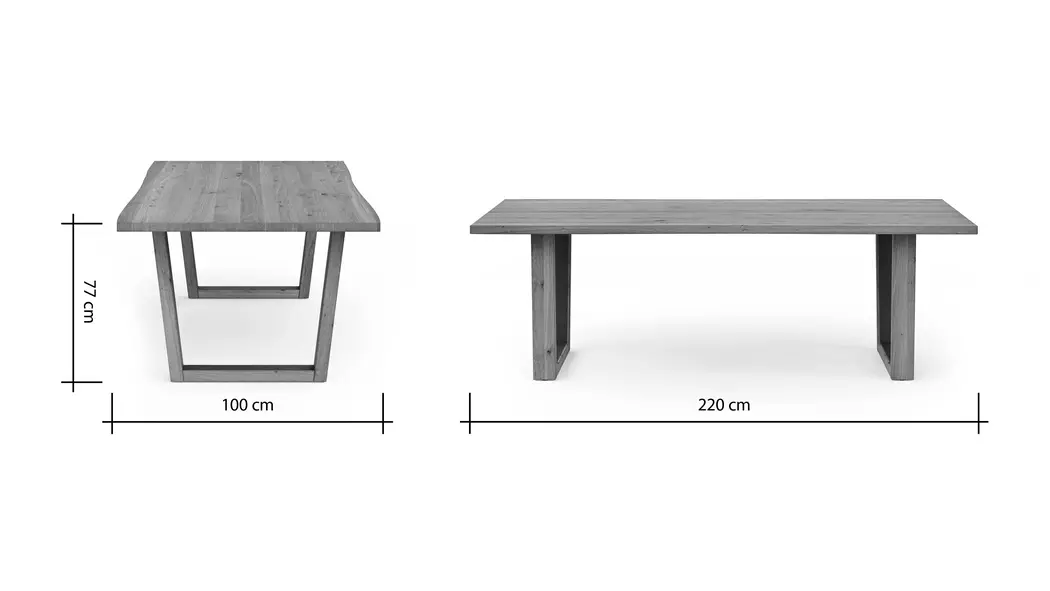Esstisch Baltimore 220 x 100 cm