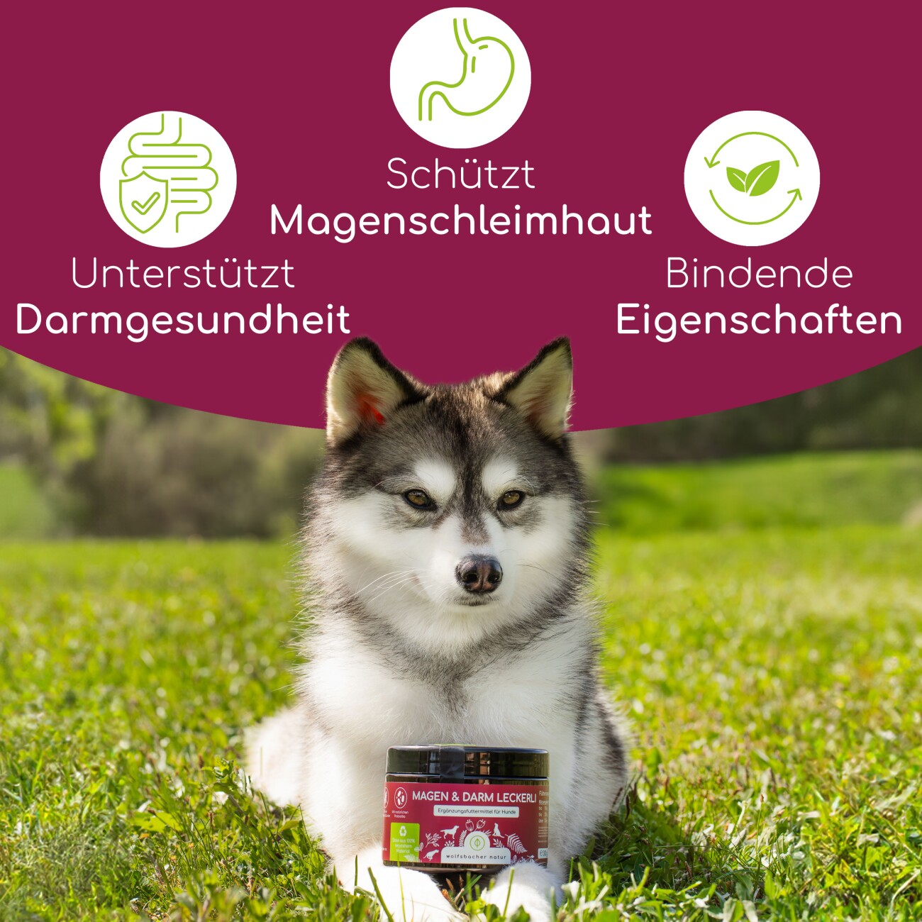 Wolfsbacher Natur Wurmmittel Tropfen