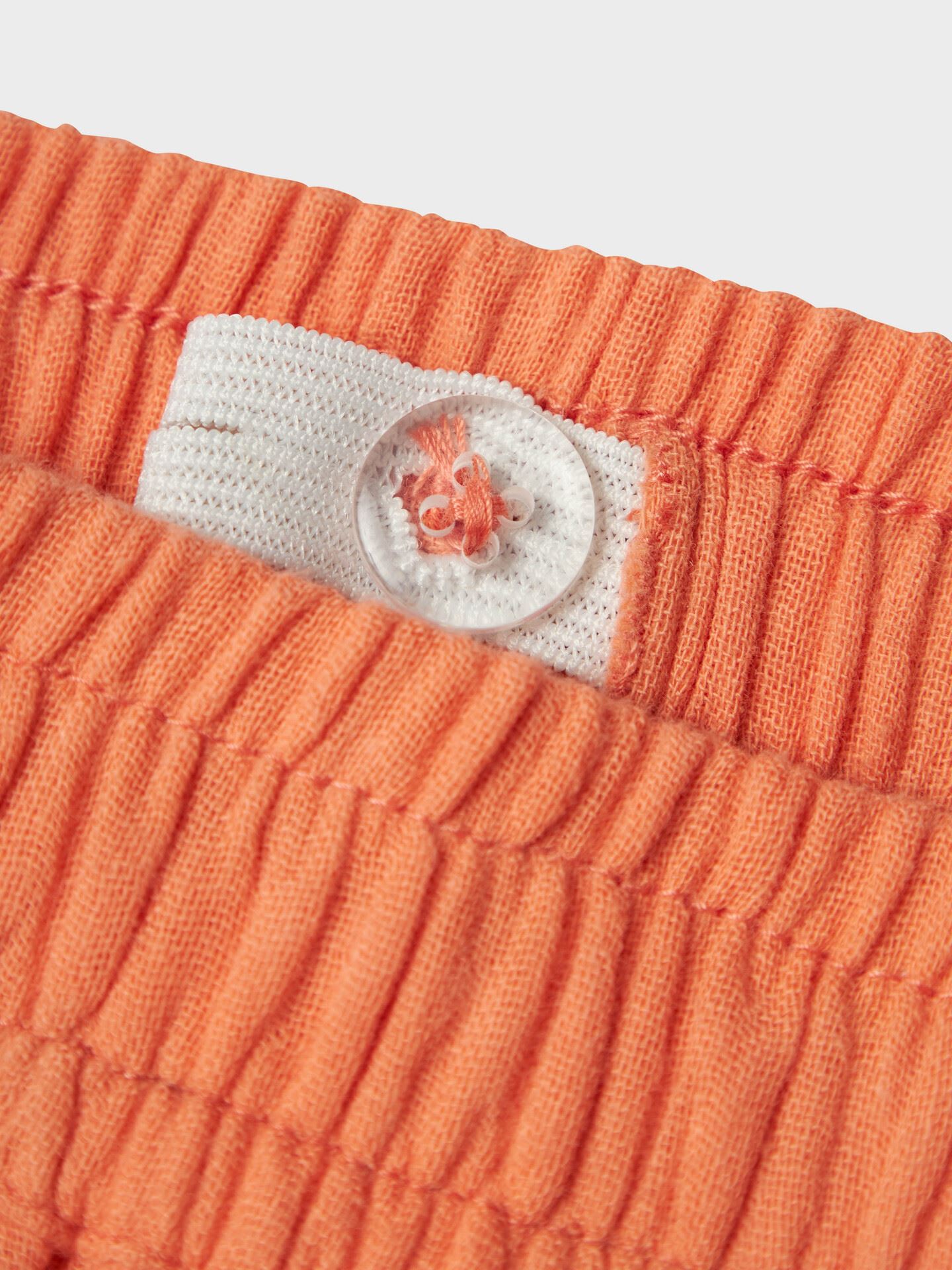 Hisa Shorts