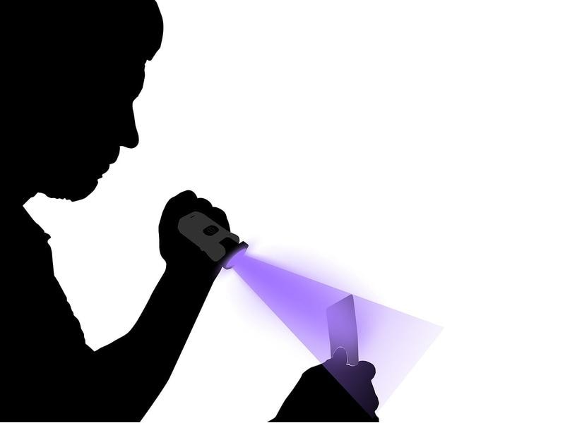 Nordride Taschenlampe LED Patrol UV, 300 Lumen, IP65, USB-C Wiederaufladbare multifunktionale taktische Clipleuchte mit schwenkbarem Licht und UV-Funktion