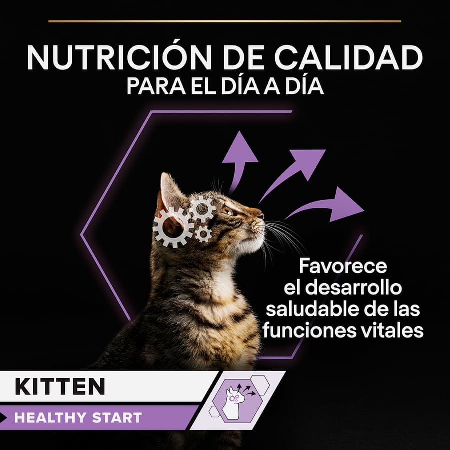 Pro Plan NutriSavour Feline Gatinho Peru ao Molho