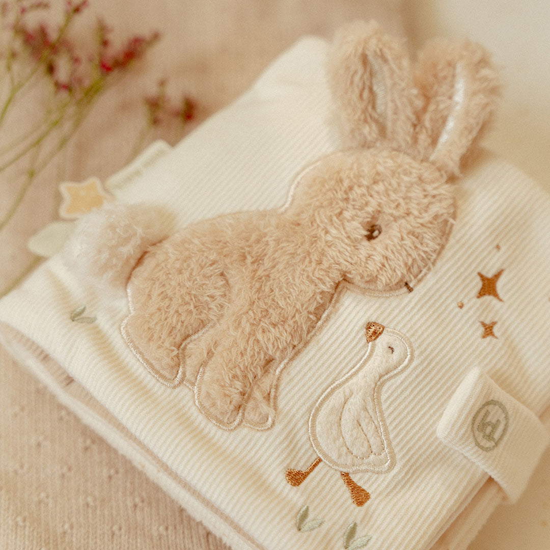 little dutch activiteitenboekje - newborn naturals