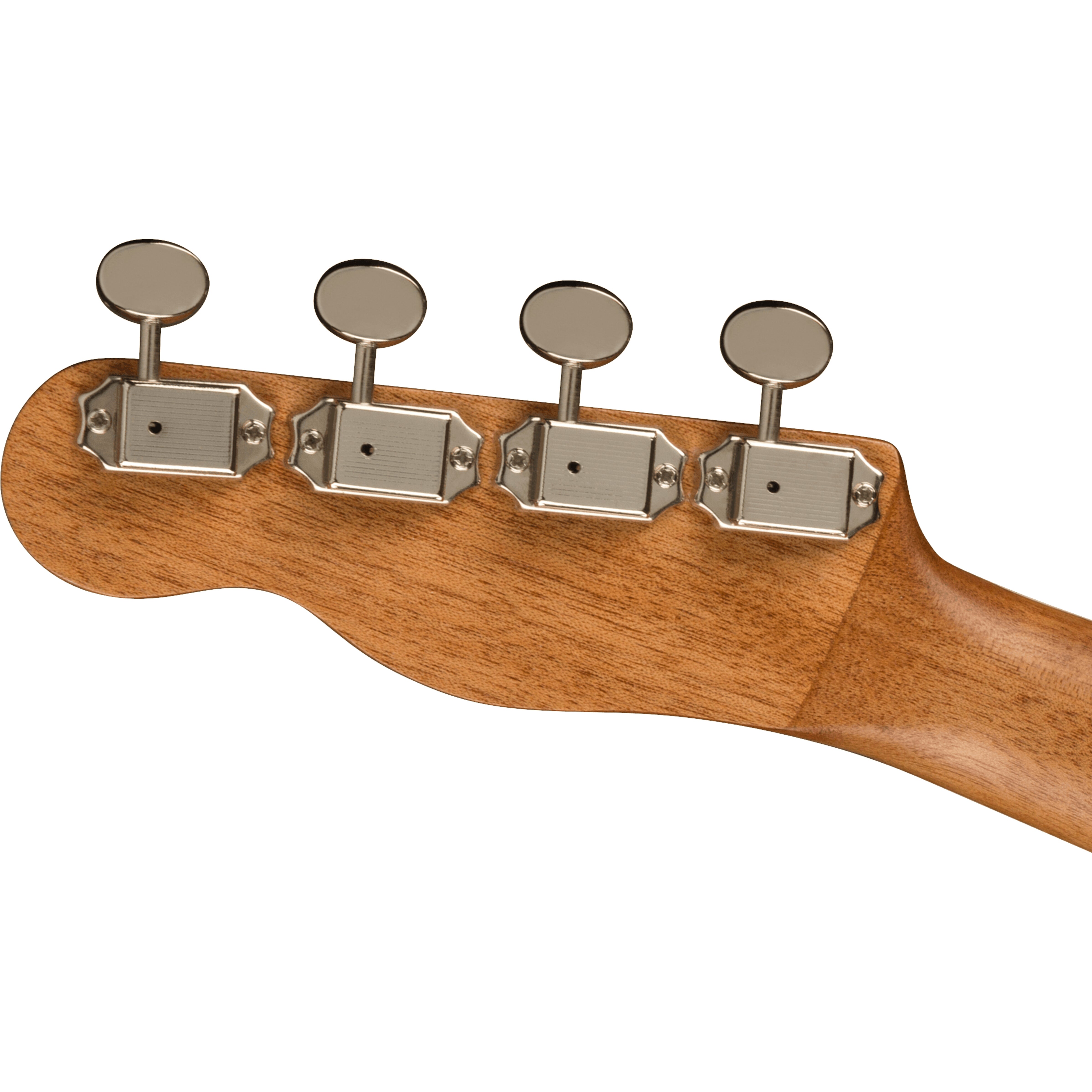 Fender California Coast Zuma Exotic concert ukelele spalted maple