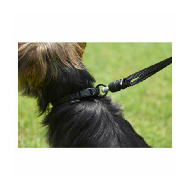 Collier et laisse aimantée GoLeyGo Kerbl pour chien