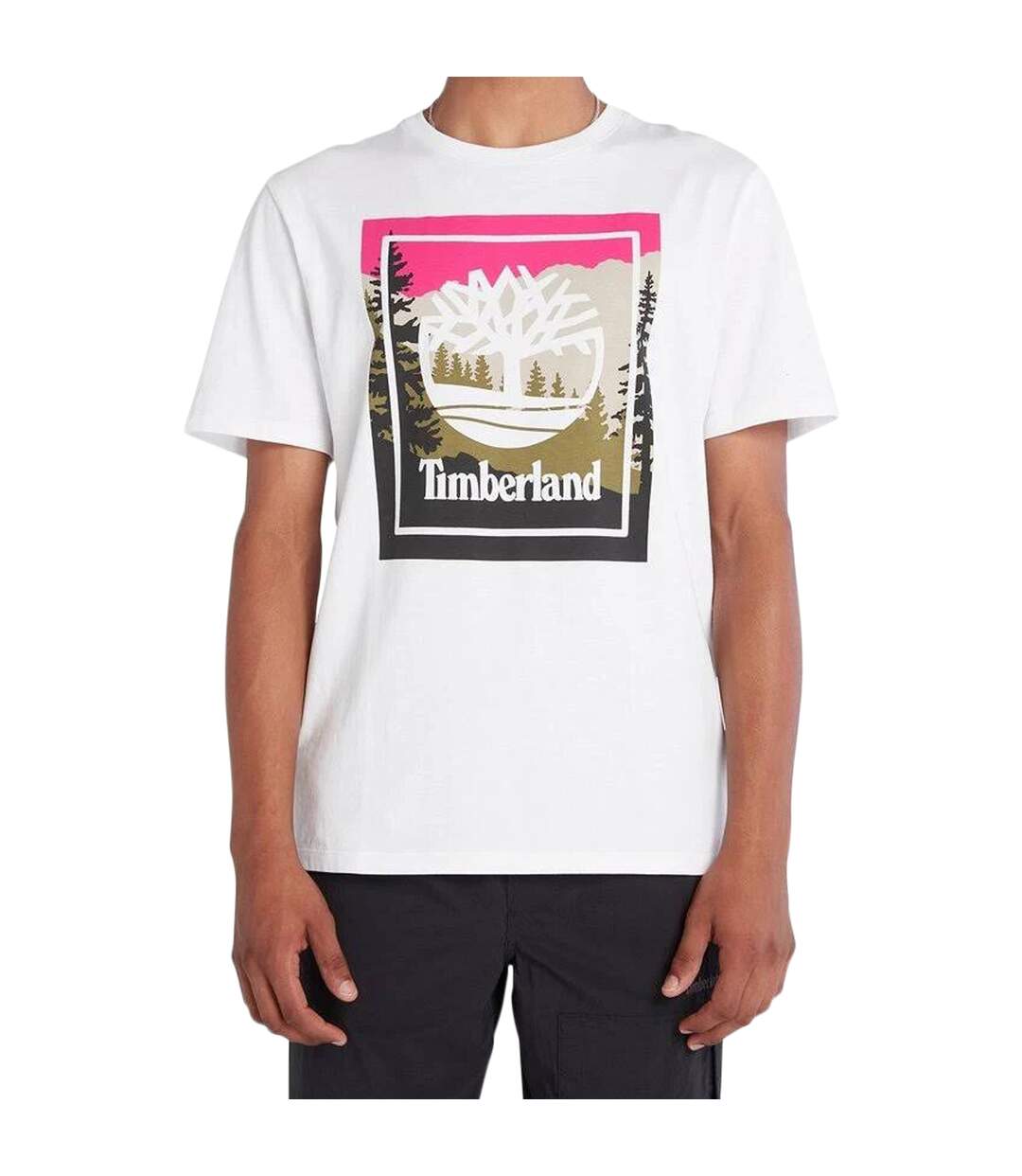 Tee Shirt Superdry Emb