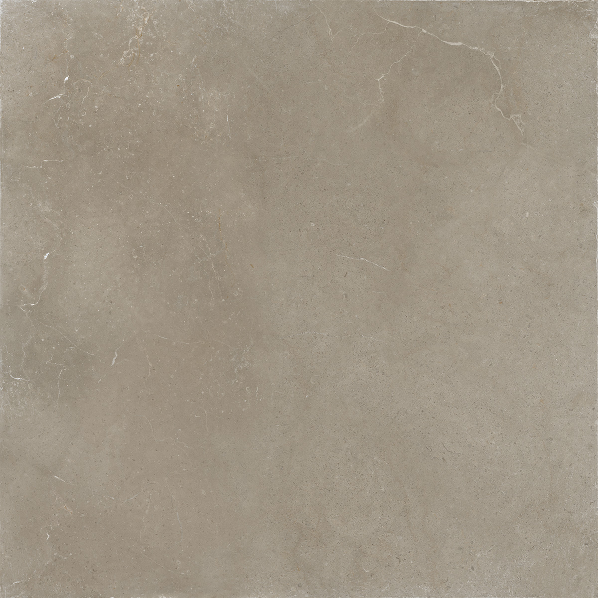 Jabo Hollstone Sour vloertegel taupe 60x60cm gerectificeerd
