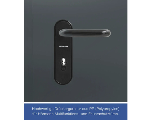 Hörmann multifunctionele kelderdeur T30 H8-5 RAL 7016 antracietgrijs 875x2000 mm omkeerbaar links/rechts