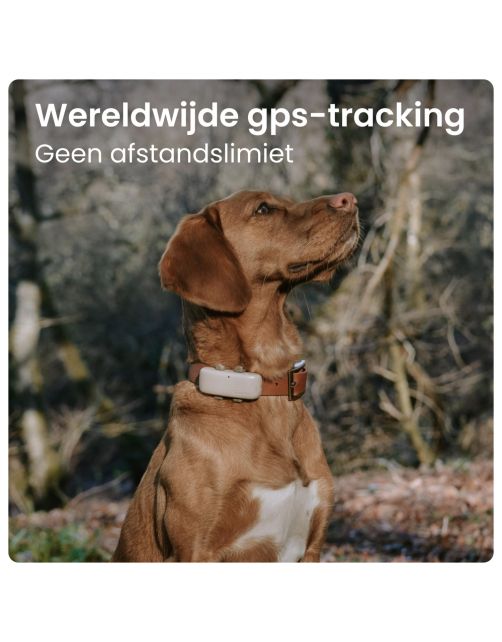 Tractive Gps Dog 4 Hondentracker En Activiteitenmonitor 17x71x28 mm - Hondenlocatievinder
