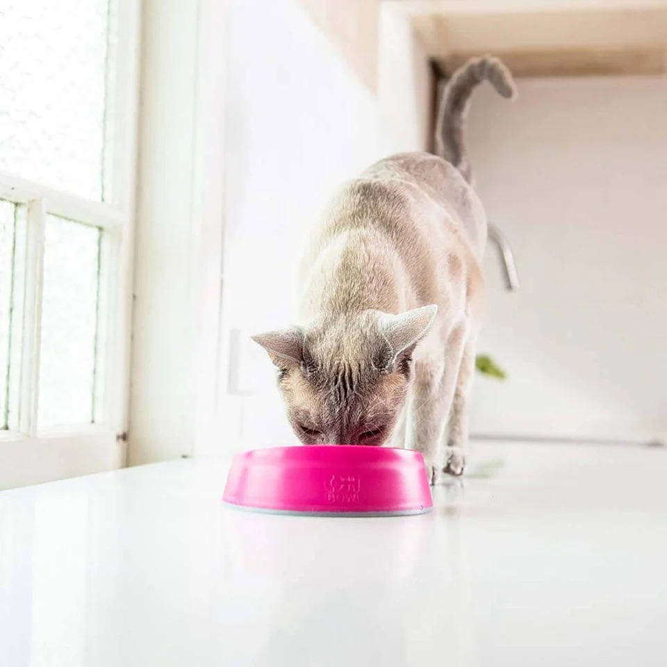 LICKIMAT - katteskål Oral Hygiene Bowl Pink Ø15X4,6Cm