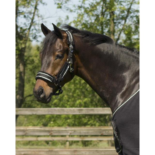 Halsterset QHP Dolci Zwart-zilver