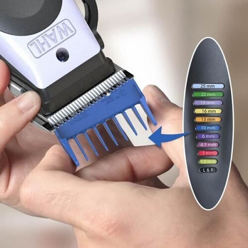 Tondeuse homme Wahl Color Pro Lithium