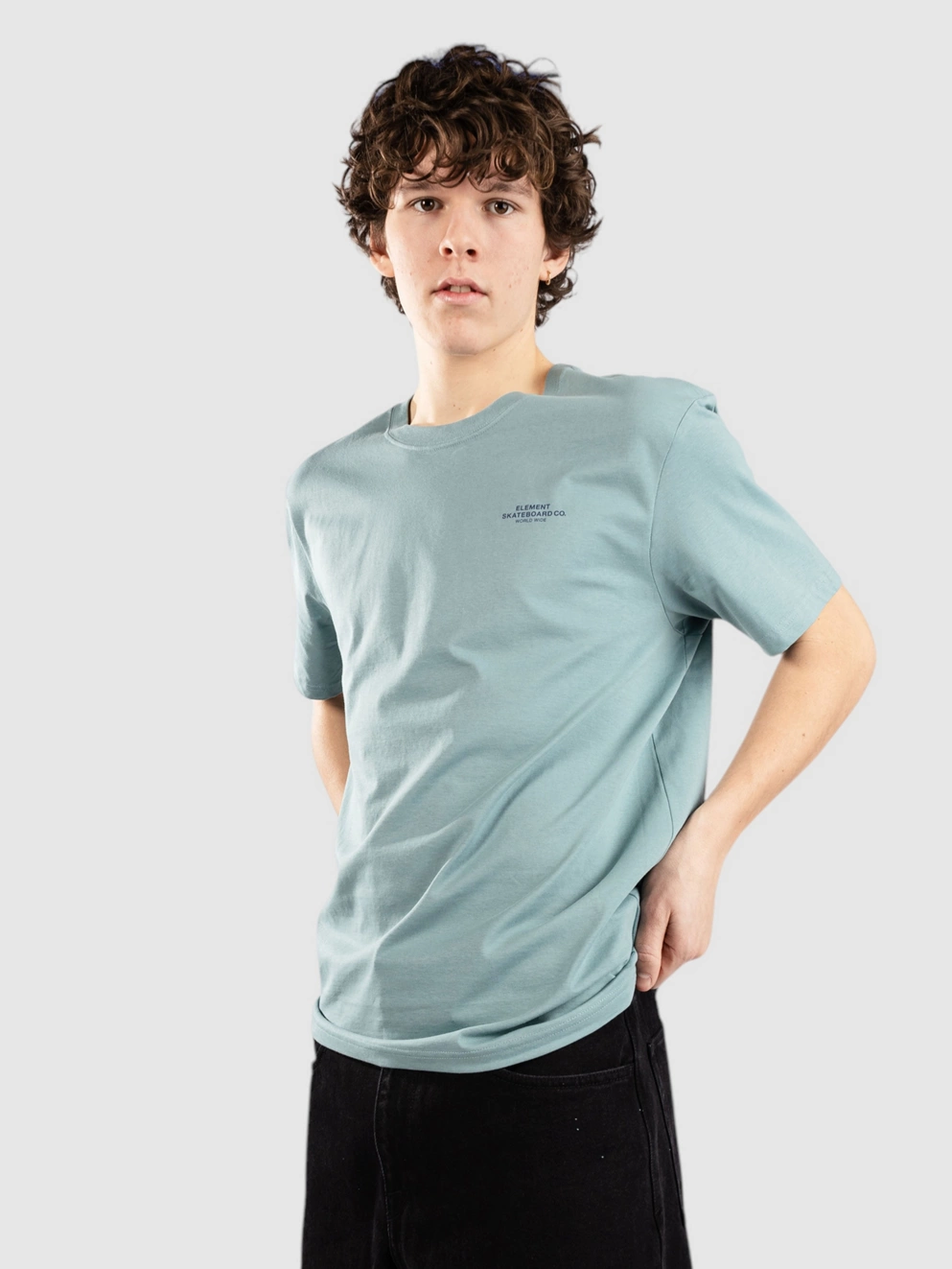 Element Skateboard Co T-Shirt trellis