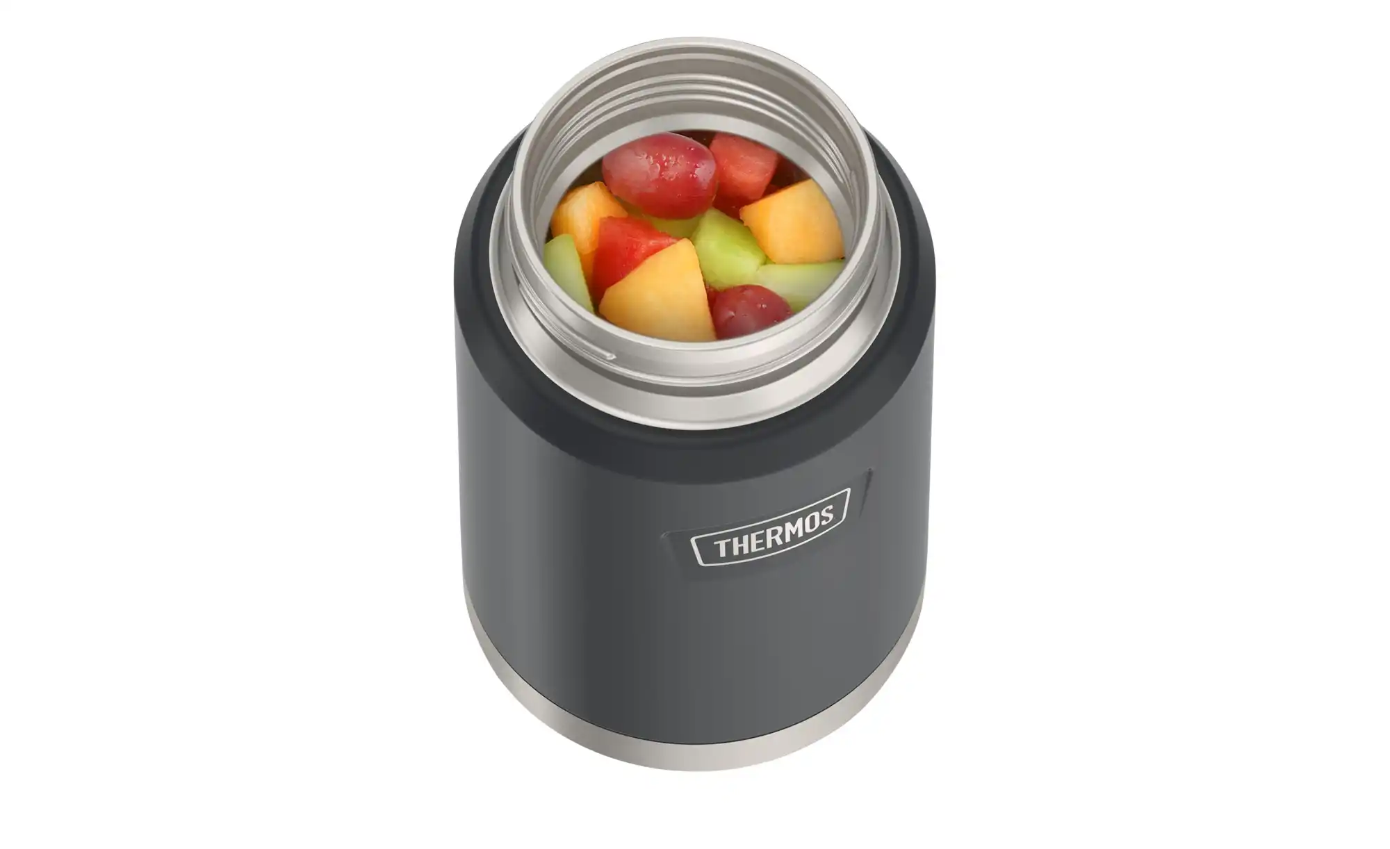 THERMOS Lunchpot ICON