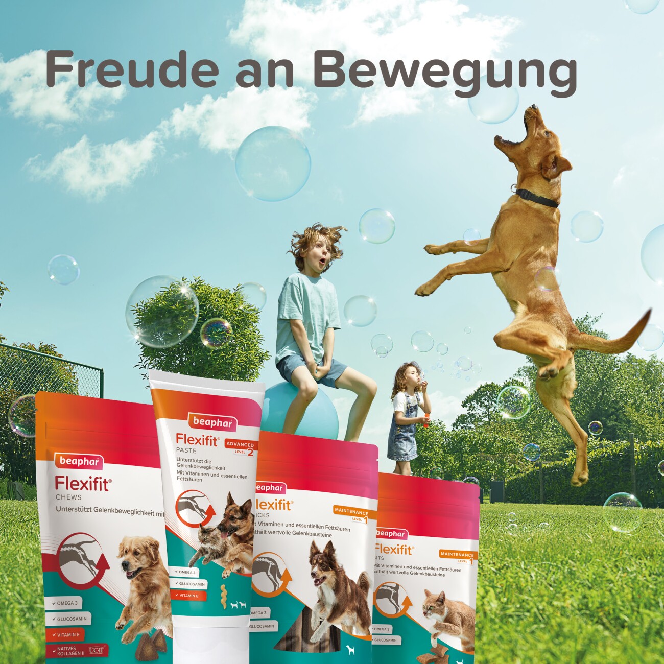 Beaphar Flexifit Snacks Hund Chews 175 g