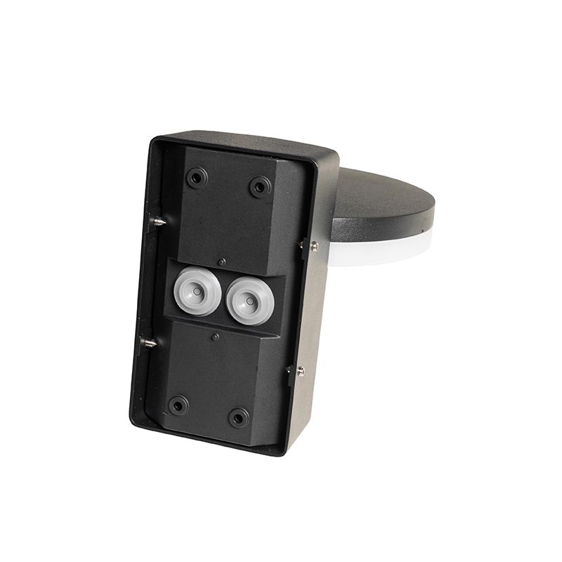Buiten wandlamp zwart incl. LED IP54 bewegingssensor - Esmee