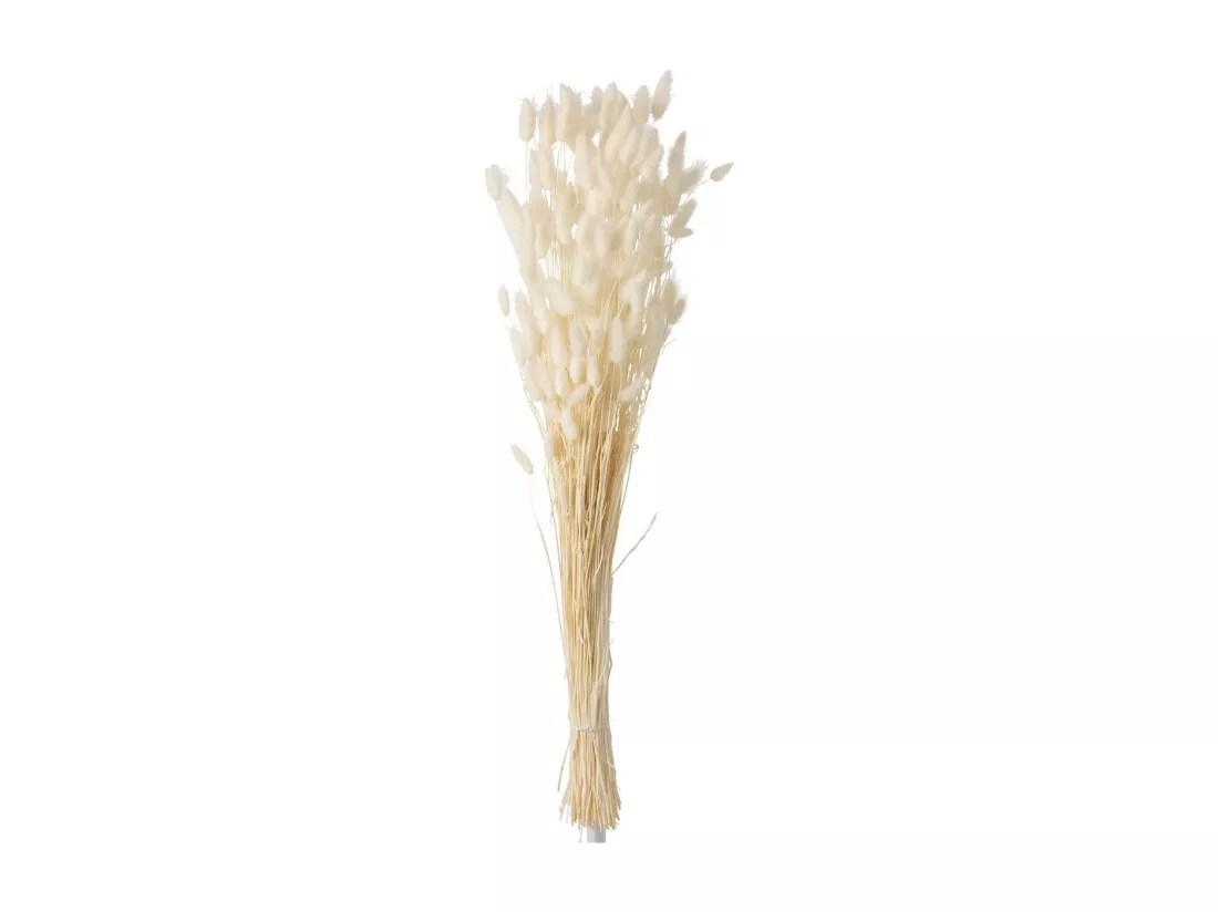 Bouquet de Fleurs 