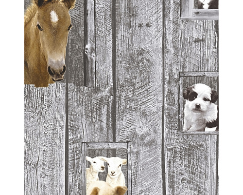 Vliesbehang 35842-1 Little Stars houtgrijs paard