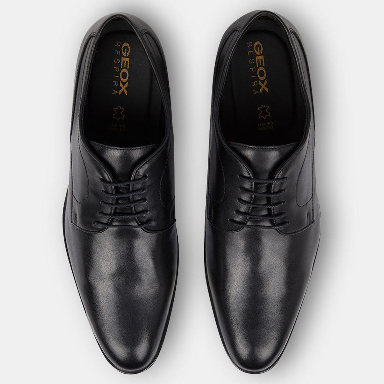 Geox Derbies en Cuir Iacopo noires