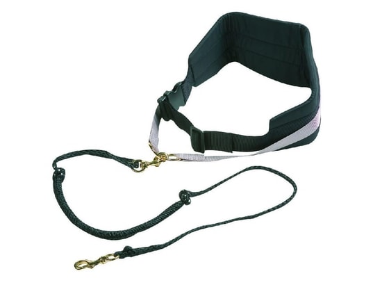 FLAMINGO - Harnais de sécurité enfant Ceinture pour chien avec laisse élastique canicross noir