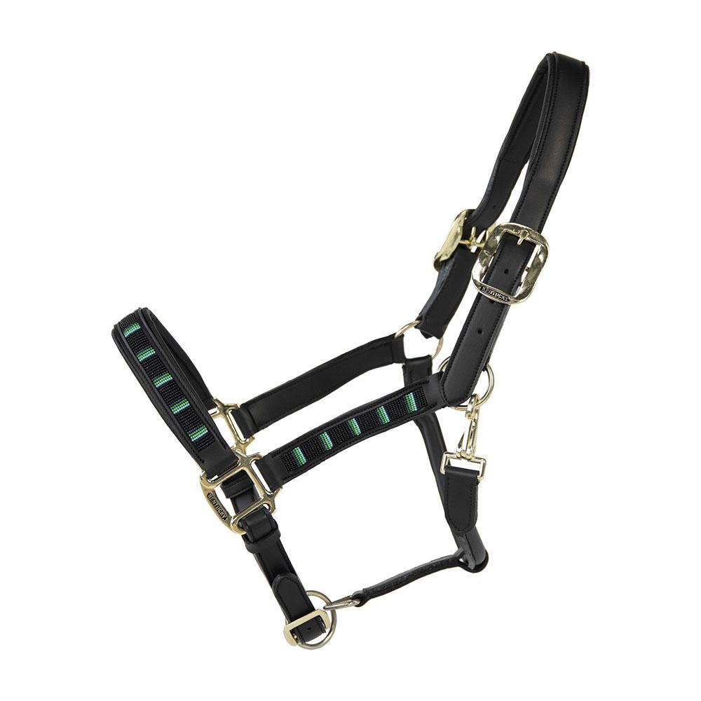 Kentucky PEARLS - Licol black