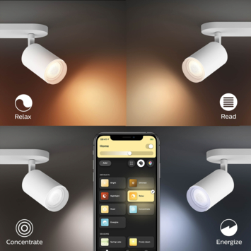 Philips Hue opbouwspot Fugato wit2x 5.7W wit