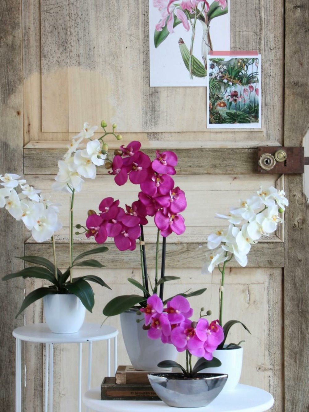 Orchidée artificielle blanche en pot h60