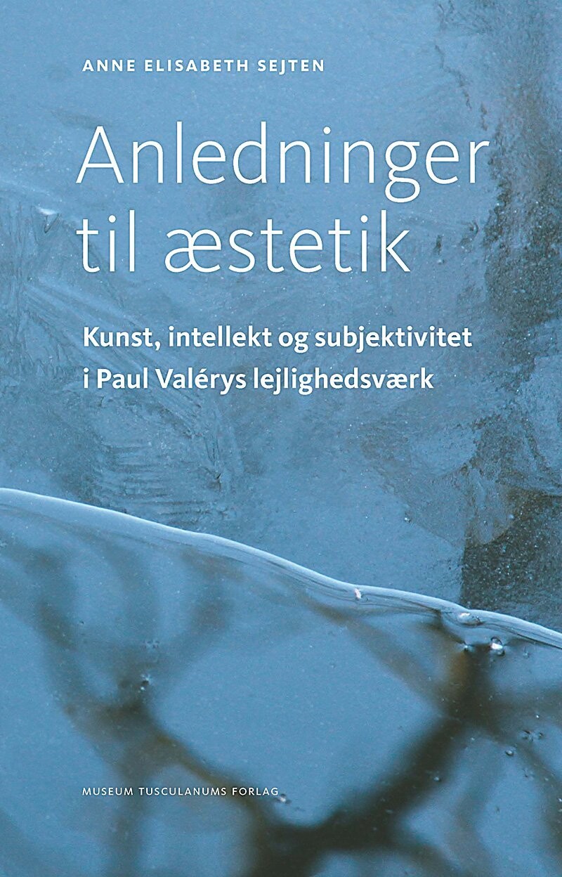 Anledninger Til Æstetik - Anne Elisabeth Sejten - Bog