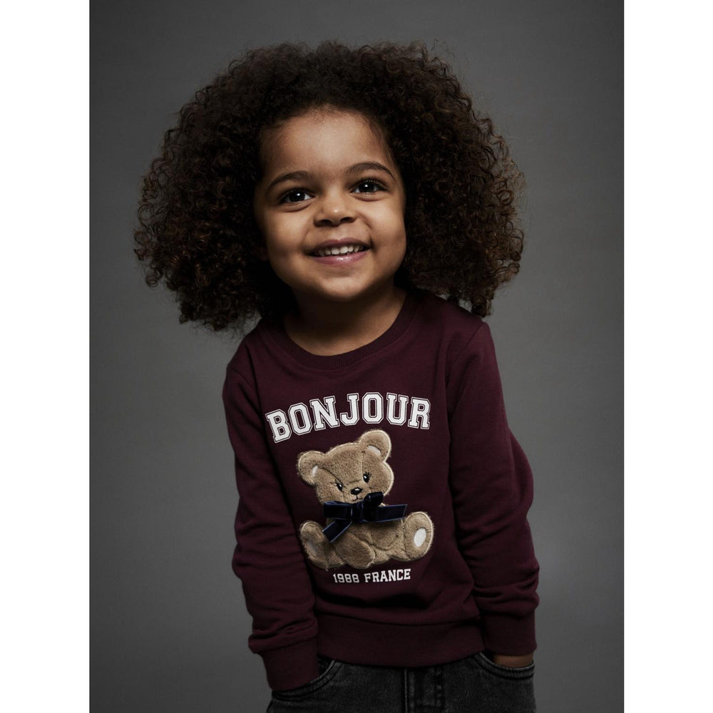 Køb Name It Burgundy Nmfrear Ls Sweat Bru