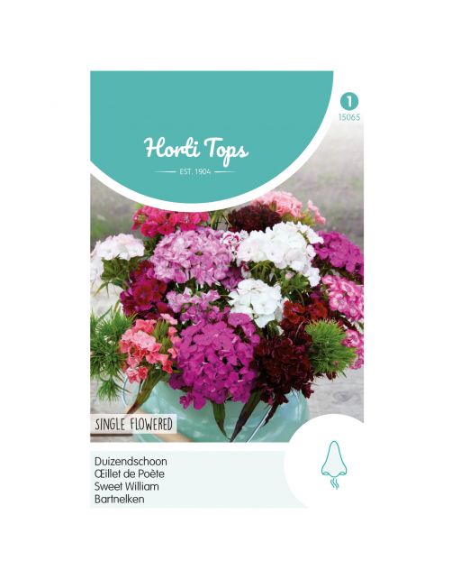 Hortitops Dianthus - Duizendschoon Enkelbloemig Gemengd - Bloemenzaden - 1 g