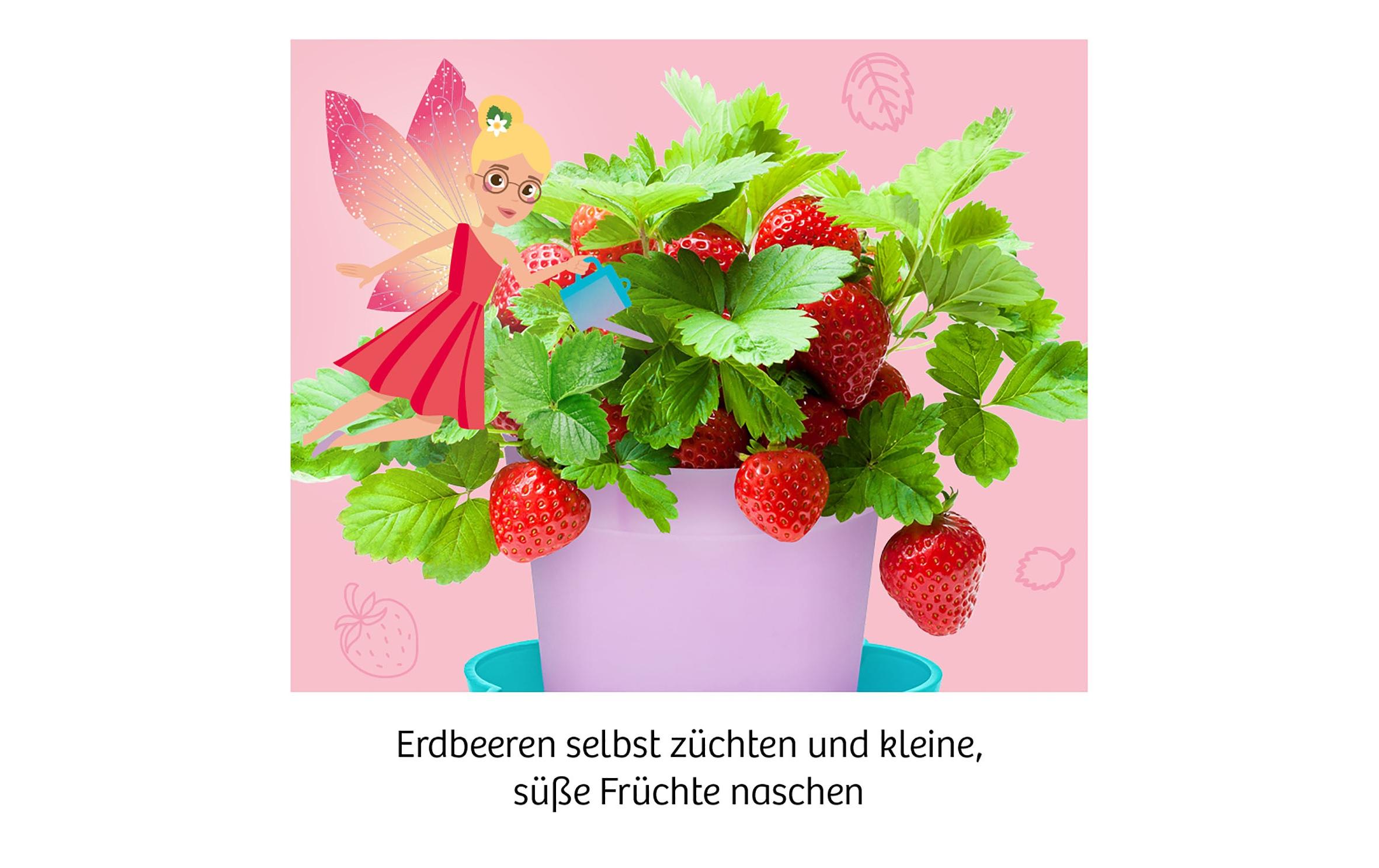 Experimentierkasten Feen-ErdbeerenSäen, pflegen und süsse Früchte naschen
