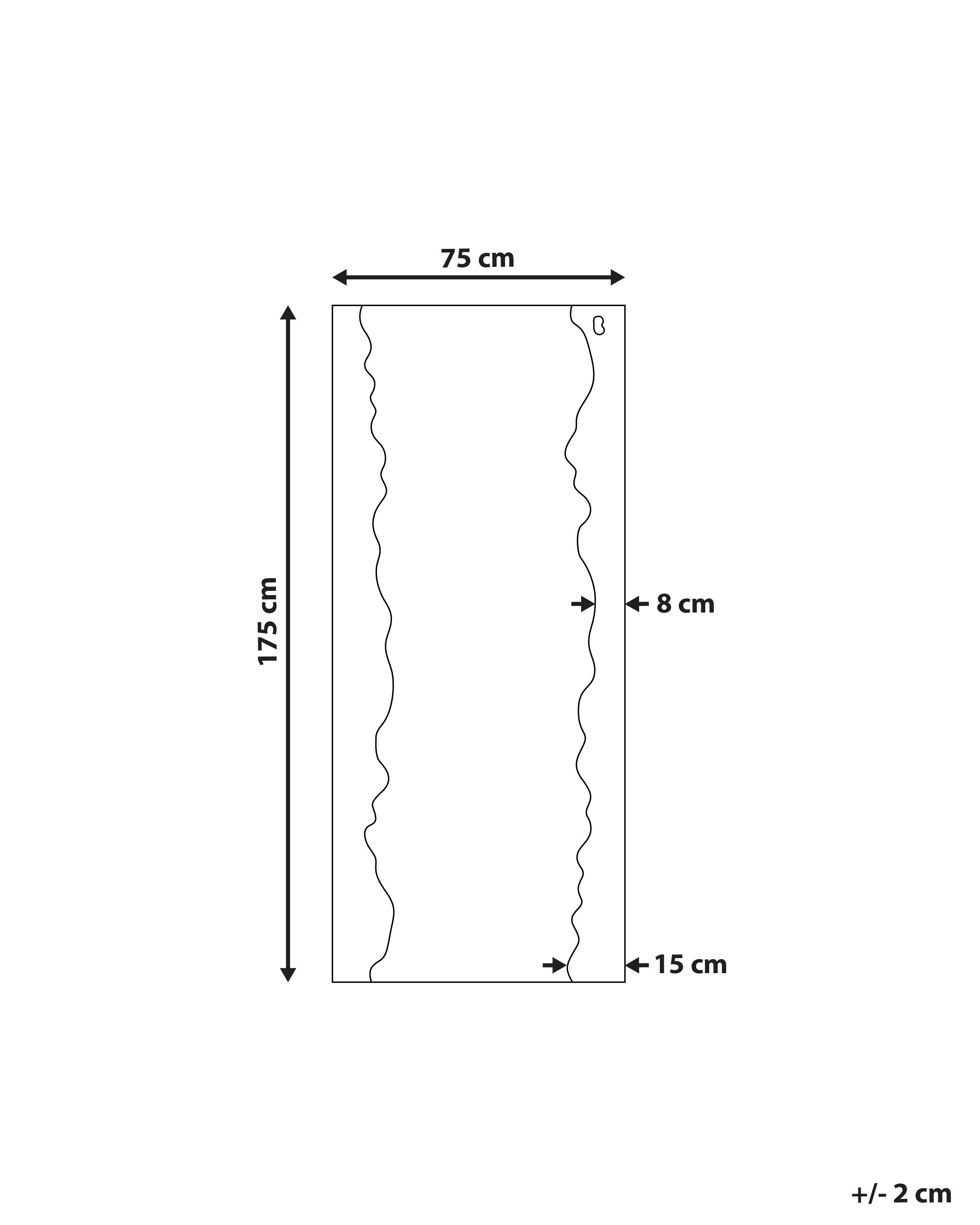 Wandspiegel SAULLCET 75 cm 175 cm Paulowniahout Zwart