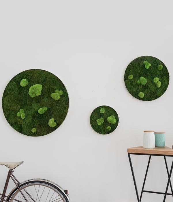 styleGREEN Bilder-Set aus Wald- und Kugelmoos,