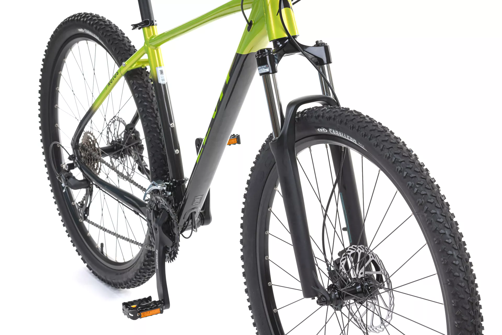 LEVIT NOTOS 7 29