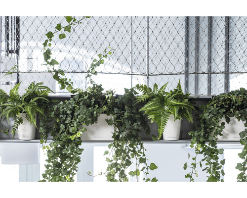 Lechuza Deltini kunststof bloempot, Ø 14 cm, H 18 cm, wit, inclusief zelfbewateringssysteem en waterniveau-indicator