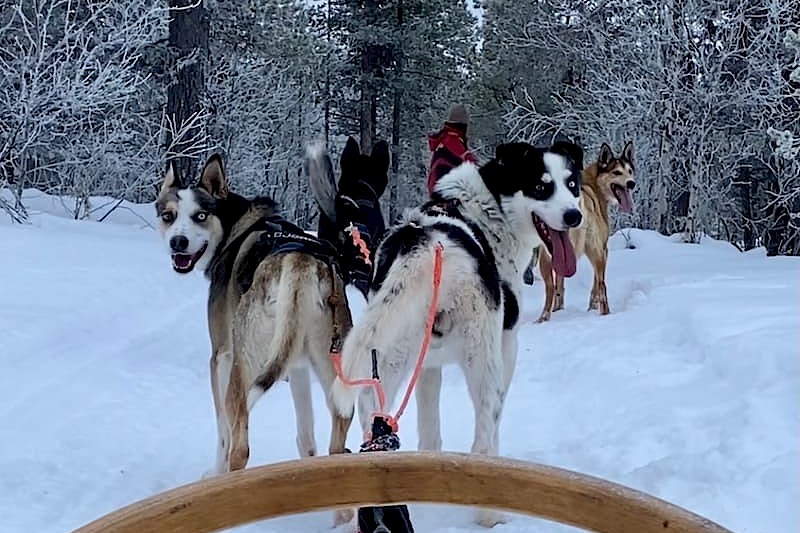 Lapland: Adventure on the Ounasjärvi river