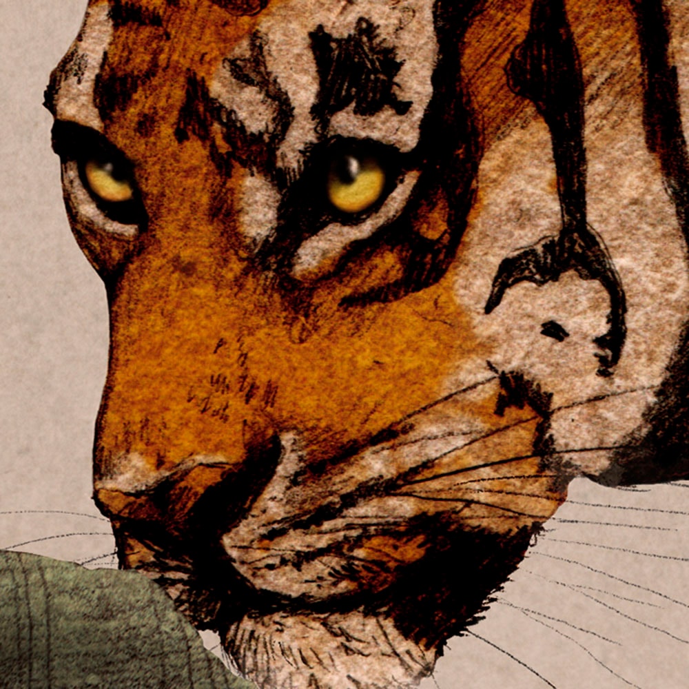 Komar Fototapete »Digitaldruck Vlies -  Tiger Jungle - Grösse 400 x 250 cm« bedruckt glatt Wohnzimmer, Schlafzimmer