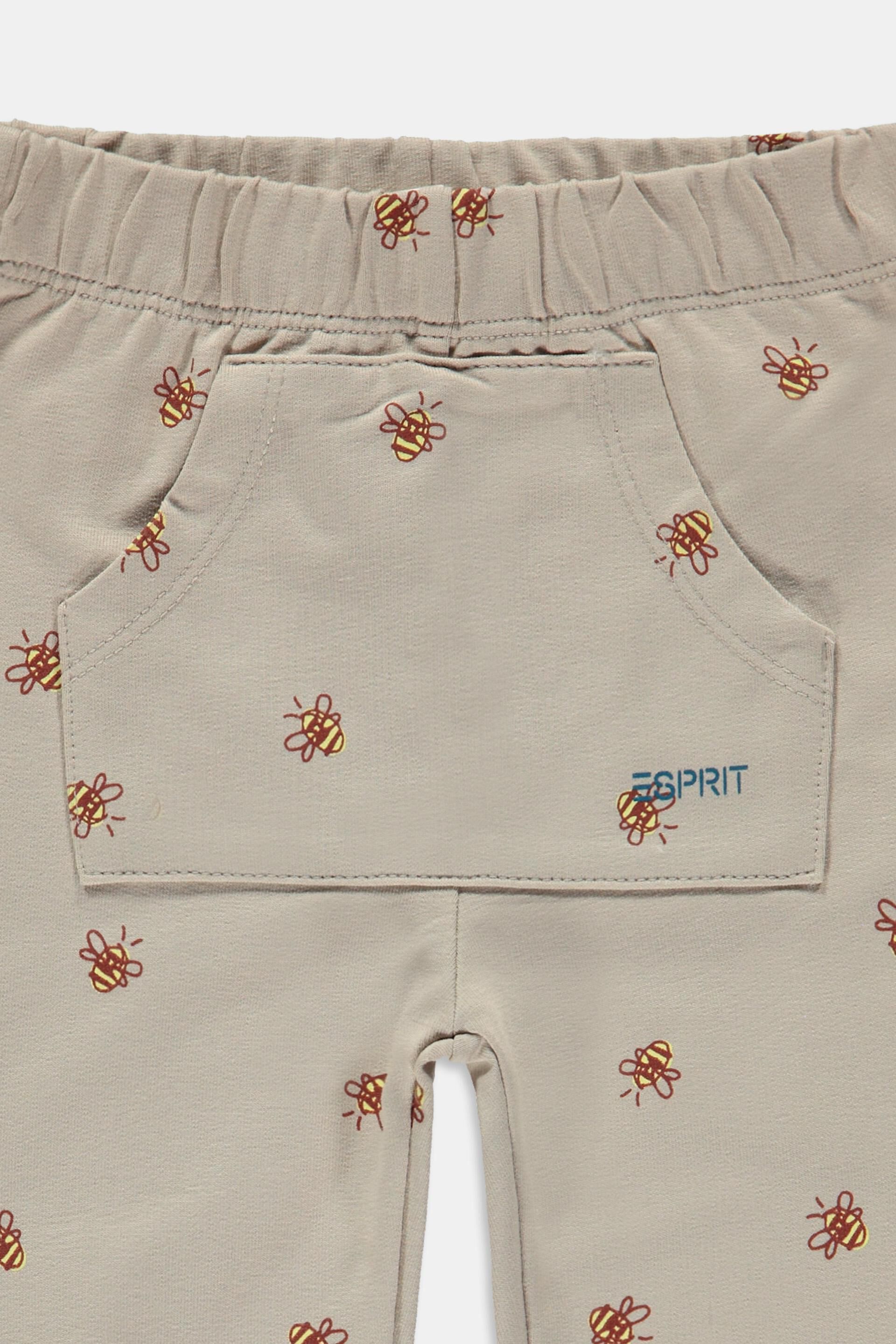 Pants knitted