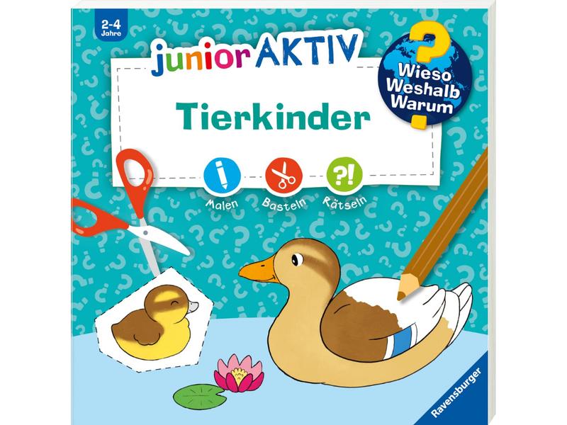 Ravensburger Kinder-Sachbuch WWW junior AKTIV: Tierkinder Erstes Ausmalen, Basteln und Rätseln für kleine Tierfans