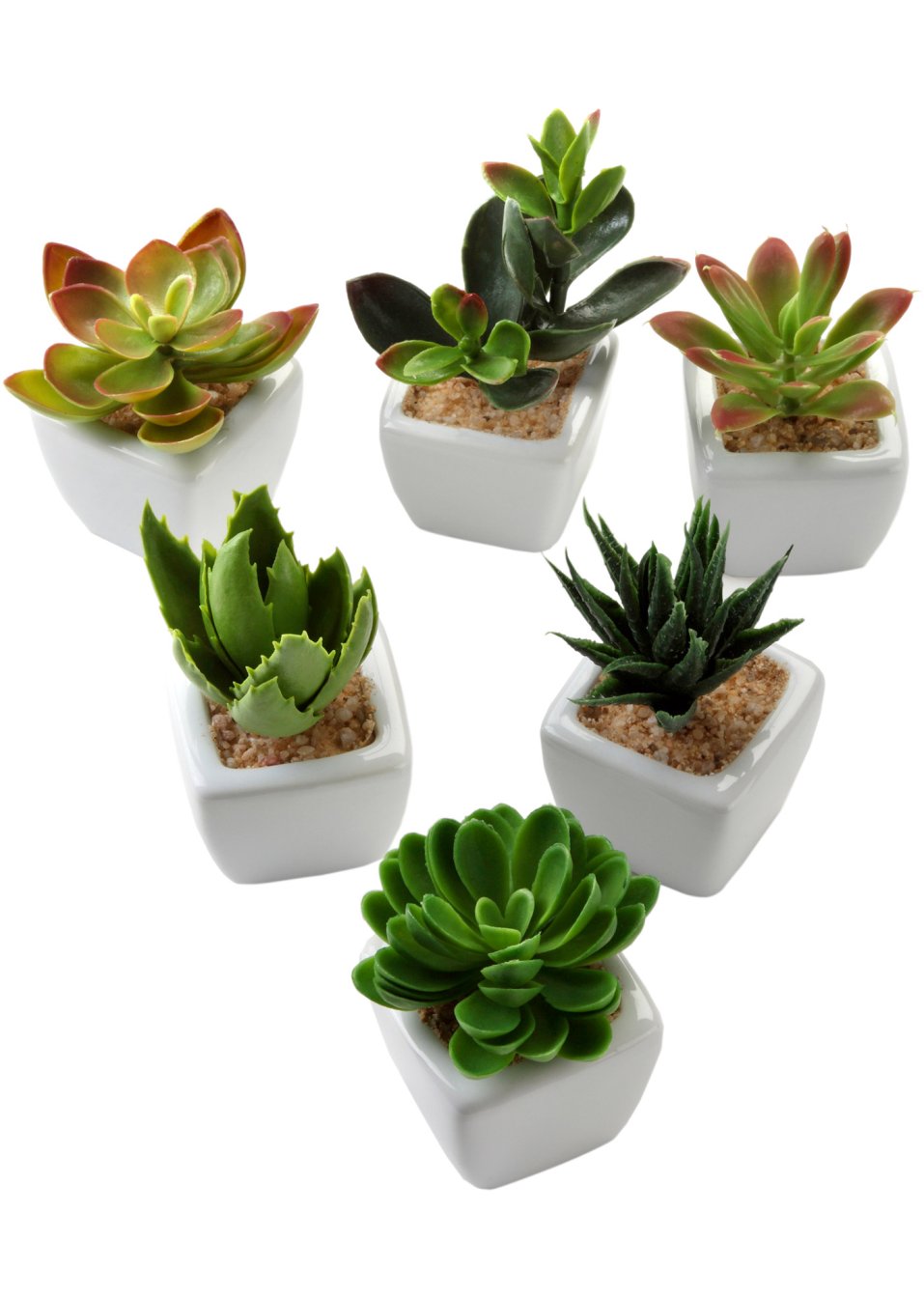 Mini-succulentes artificielles (Ens. 6 pces.)