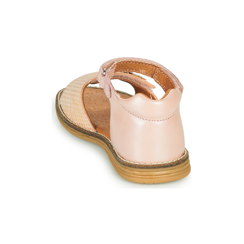 GBB - SATIA - Rose