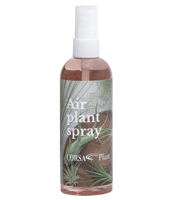 Tillandsien-Dünger, flüssig, 150 ml