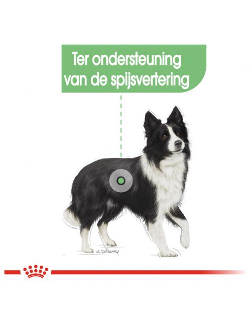 Royal Canin Digestive Care Medium - Hondenvoer