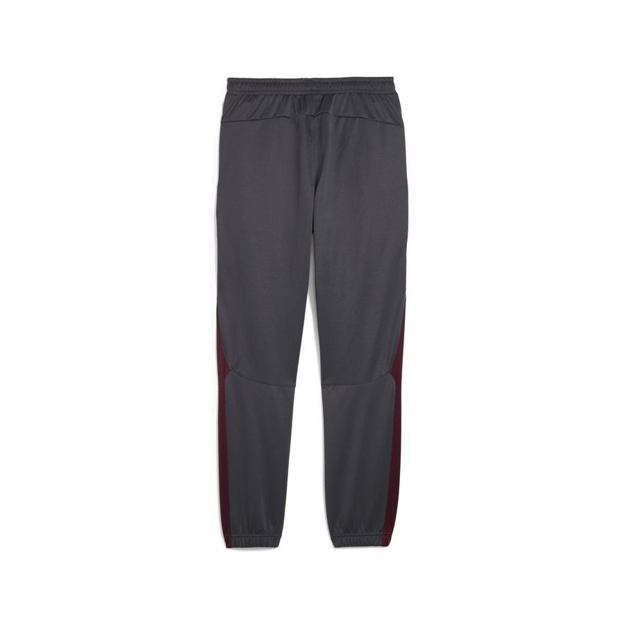 Puma Manchester City ftblNRGY  Hose