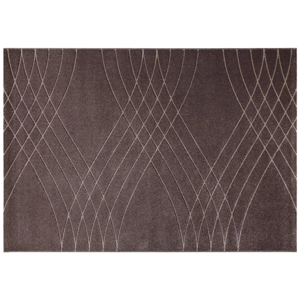 Dutch Lifestyle - Polypropyleen - Vloerkleed - 230x160cm - Bruin